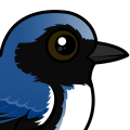 Birdorable Black-throated Blue Warbler