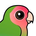 Birdorable Rosy-faced Lovebird