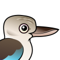 Birdorable Blue-winged Kookaburra