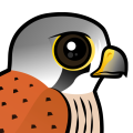 Birdorable Common Kestrel