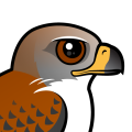 Birdorable Ferruginous Hawk