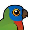 Birdorable Saint Lucia Parrot