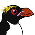 Birdorable Macaroni Penguin