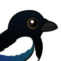 Birdorable Eurasian Magpie