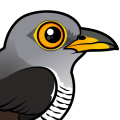 Birdorable Common Cuckoo