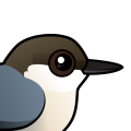 Birdorable Pygmy Nuthatch