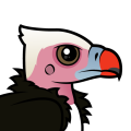 Birdorable White-headed Vulture
