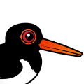 Birdorable Pied Oystercatcher