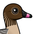 Birdorable Pink-footed Goose