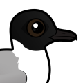 Birdorable Little Gull