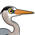 Birdorable Great Blue Heron