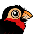 Birdorable Bearded Barbet