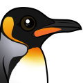 Birdorable King Penguin