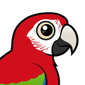 Birdorable Green-winged Macaw