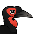Birdorable Southern Ground Hornbill