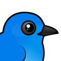 Birdorable Mountain Bluebird