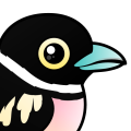 Birdorable Black-and-yellow Broadbill