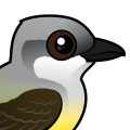 Birdorable Western Kingbird
