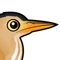 Birdorable Little Bittern