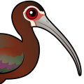 Birdorable White-faced Ibis