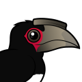 Birdorable Trumpeter Hornbill