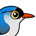 Birdorable Velvet-fronted Nuthatch