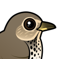 Birdorable Swainson's Thrush
