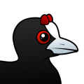 Birdorable Red-knobbed Coot