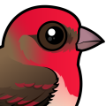 Birdorable Common Rosefinch