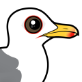 Birdorable Caspian Gull