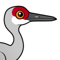 Birdorable Sandhill Crane