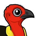 Birdorable Australian Brushturkey