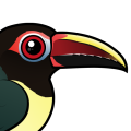 Birdorable Green Aracari