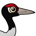 Birdorable Black-necked Crane