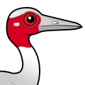 Birdorable Sarus Crane
