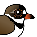 Birdorable Semipalmated Plover