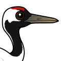 Birdorable Red-crowned Crane