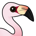 Birdorable Andean Flamingo