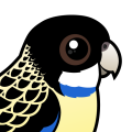 Birdorable Northern Rosella