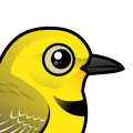 Birdorable Yellow Chat