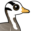 Birdorable Bar-headed Goose