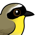 Birdorable Common Yellowthroat
