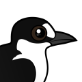 Birdorable Sooty Tern