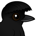 Birdorable Long-wattled Umbrellabird