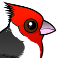 Birdorable Red-crested Cardinal