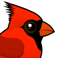 Birdorable Northern Cardinal
