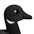 Birdorable Brant Goose