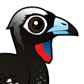 Birdorable Black-fronted Piping Guan