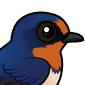 Birdorable Barn Swallow