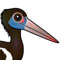 Birdorable Abdim's Stork